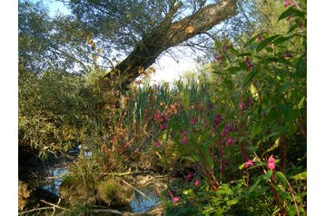 Словакия Chata Vojka nad Dunajom, Екстериор